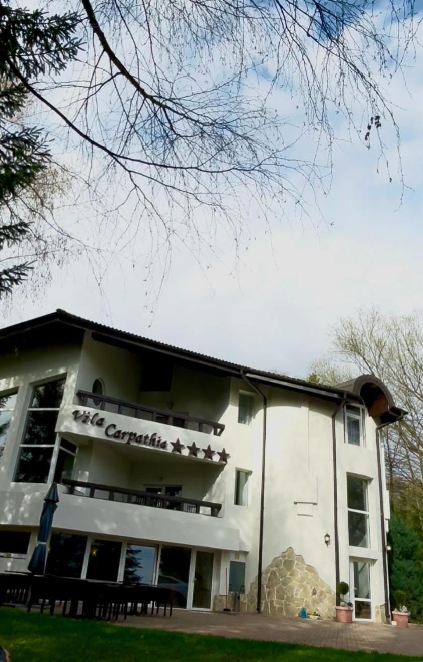 Vila Carpathia บราน ภายนอก รูปภาพ