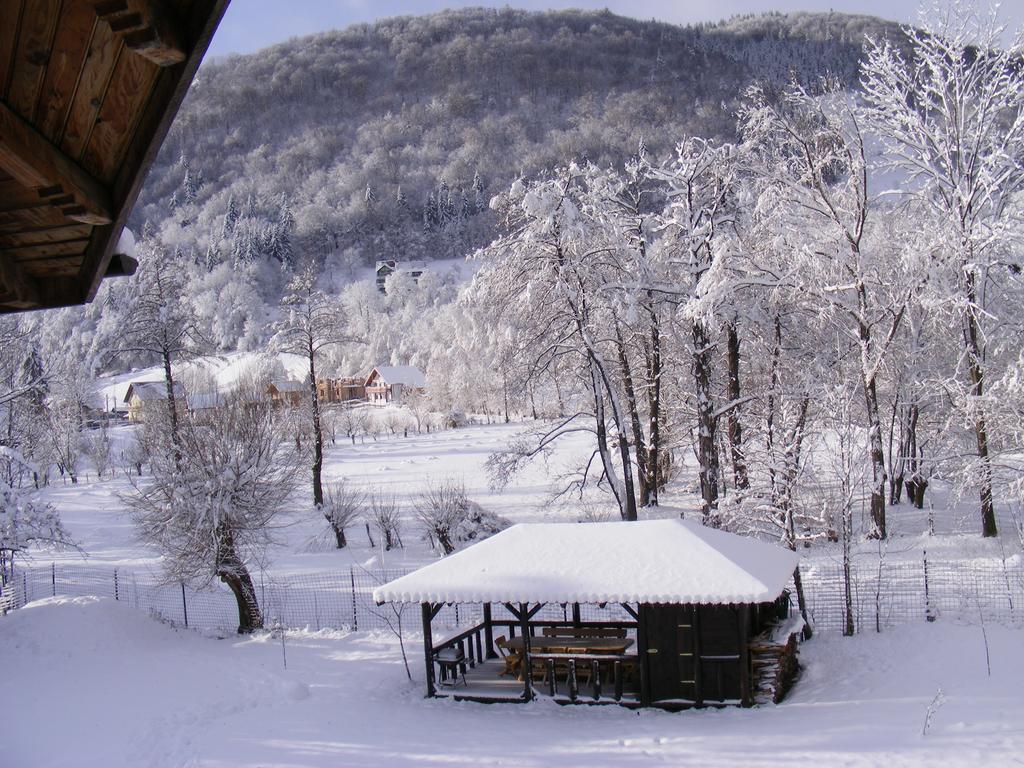 Vila Carpathia บราน ภายนอก รูปภาพ
